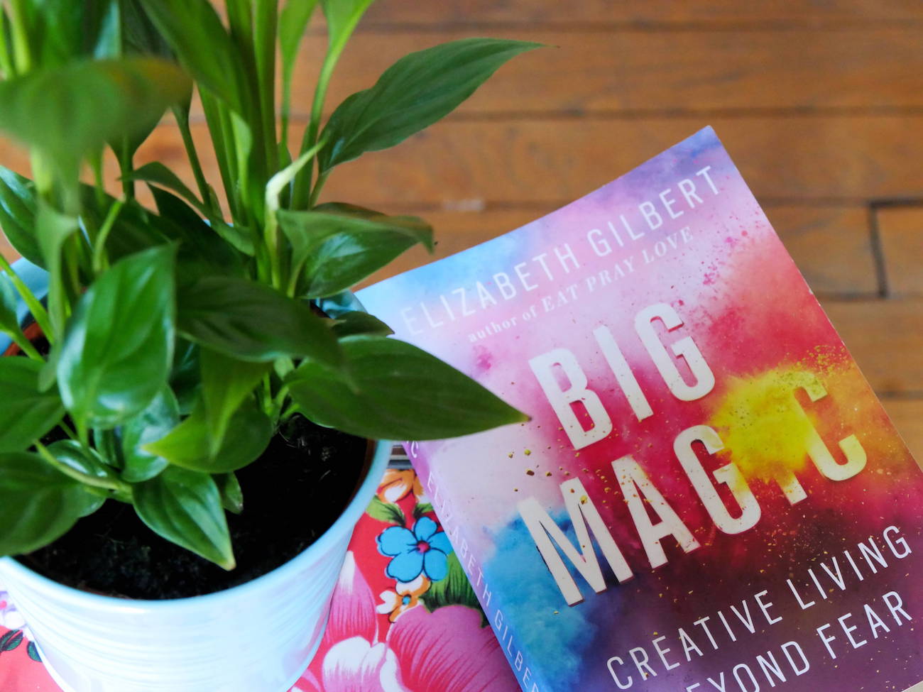 Lukunurkka: kirja-arvostelu Elizabeth Gilbertin Big Magic -teoksesta elisabeth_gilbert_kuva7