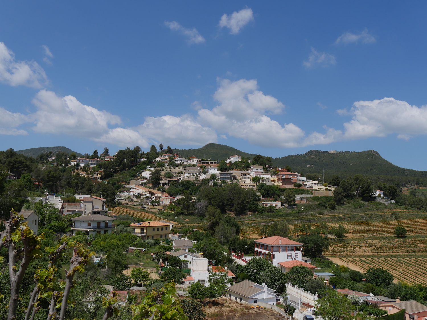 arianel.la, catalonia