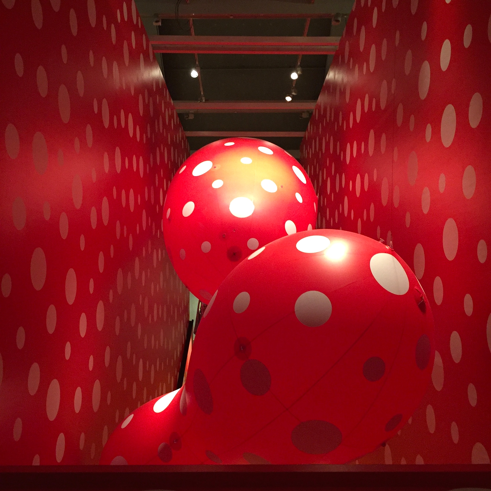 yayoi kusama at HAM