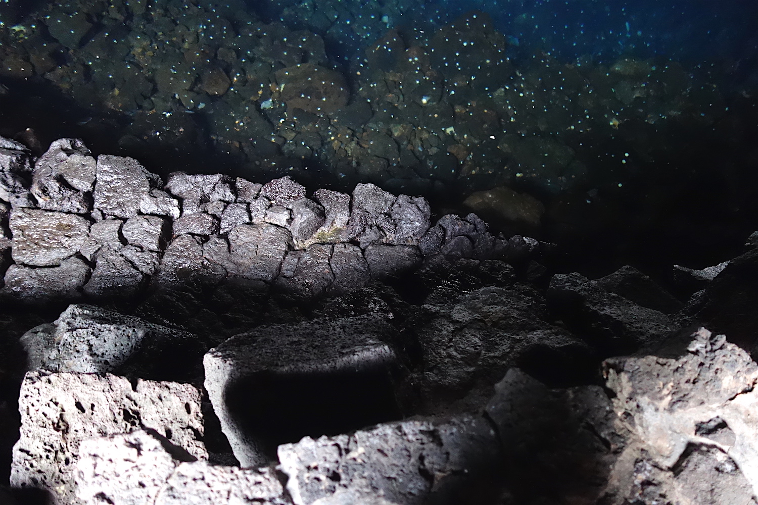 jameos del agua