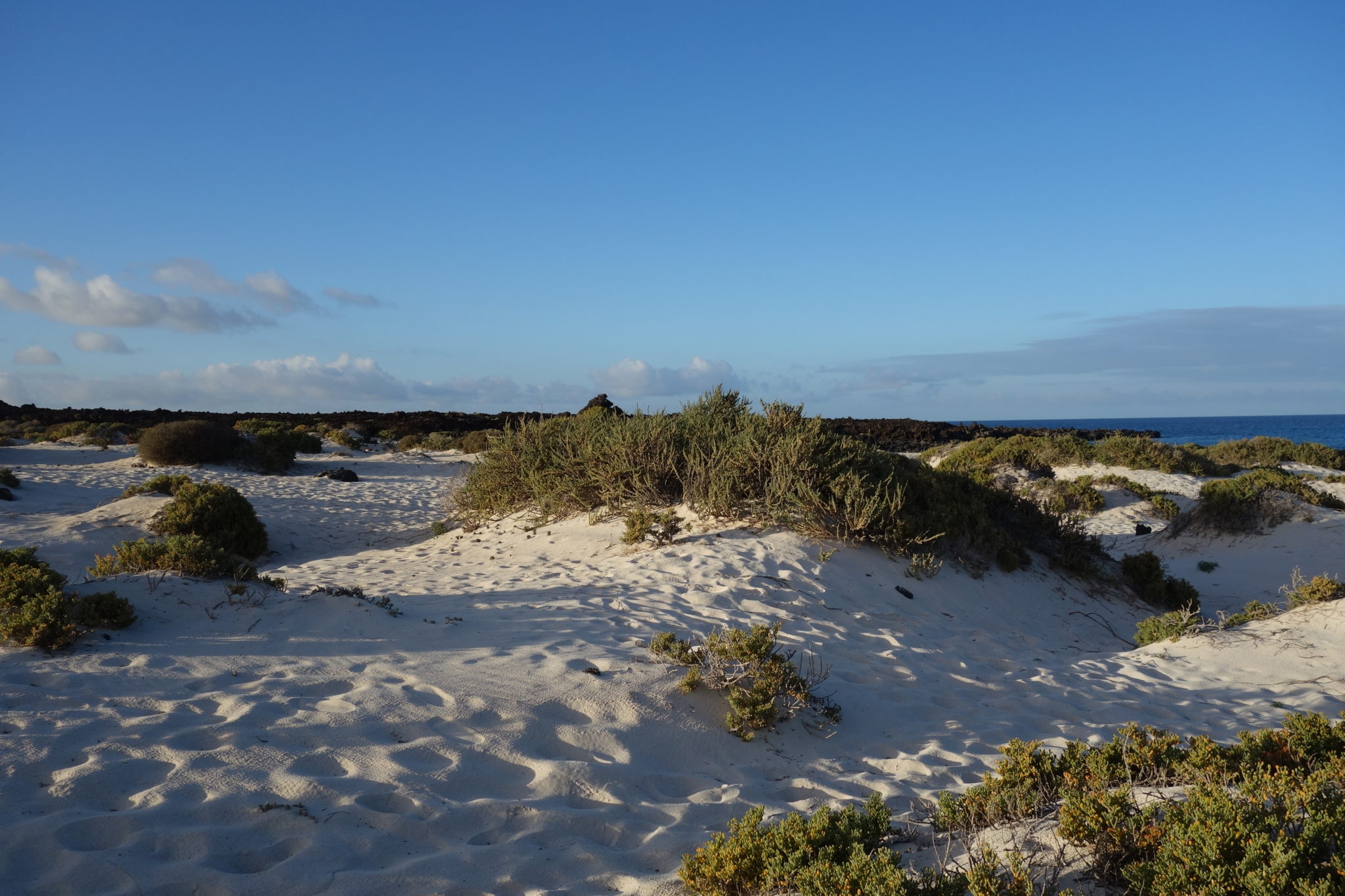 lanzarote beach