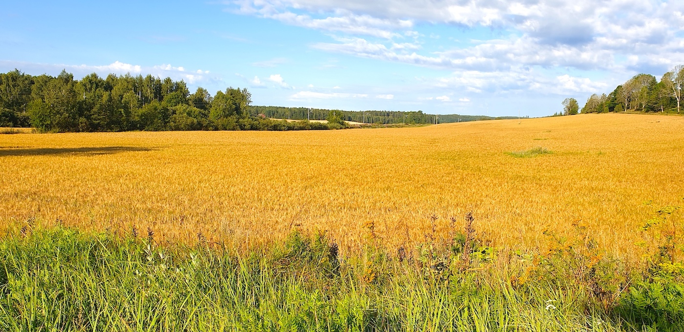 fiskars landscape