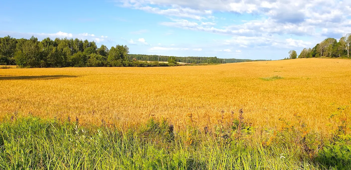 fiskars landscape