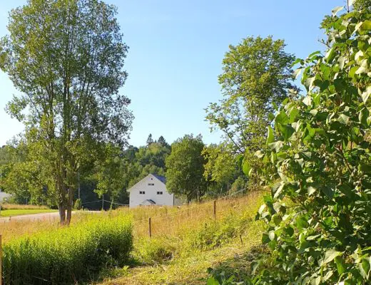 fiskars life 1